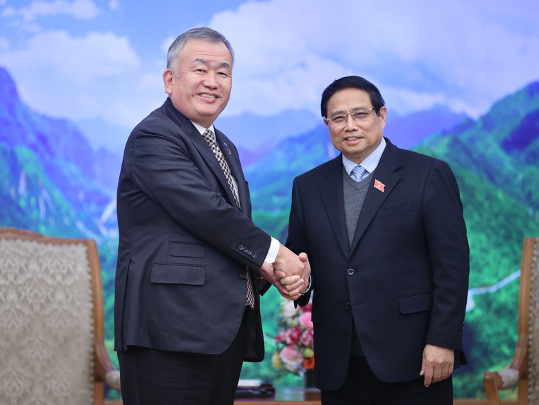 他实际上主